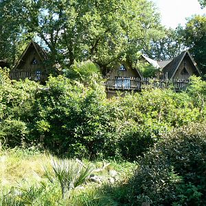 Zoo de la Flèche - Nosy Komba - Lemurs walkthrough exhibit