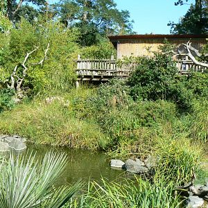 Zoo de la Flèche - Nosy Komba - Lemurs walkthrough exhibit