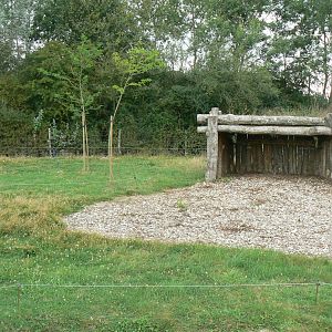 Réserve de la Haute-Touche - Future red river hogs enclosure