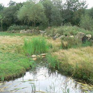 Réserve de la Haute-Touche - Future red river hogs enclosure