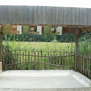 Réserve de la Haute-Touche - African spurred tortoise and african plain viewing point