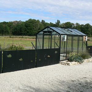 Réserve de la Haute-Touche - Turkish spur-thighed tortoises and Hermann's tortoises exhibit