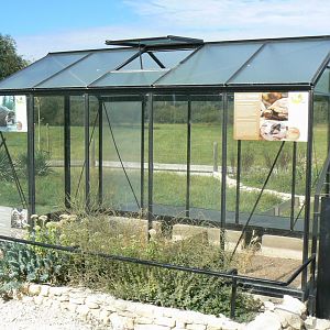 Réserve de la Haute-Touche - Turkish spur-thighed tortoises and Hermann's tortoises exhibit