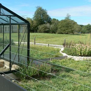 Réserve de la Haute-Touche - Turkish spur-thighed tortoises and Hermann's tortoises exhibit