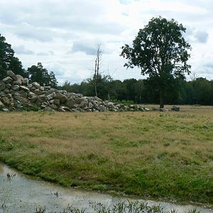 Réserve de la Haute-Touche - Mishmi takins and markhors 2 hectares enclosure