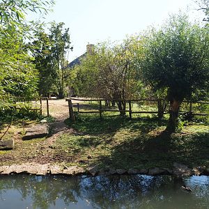 Former swan exhibit next to the Saint Bernard tower, now connected to the South American exhibit, 2021-09-03
