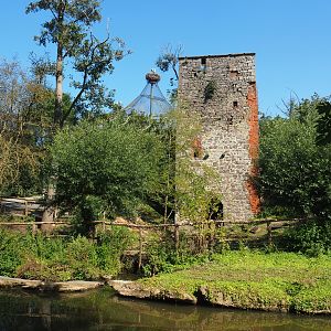 Saint Bernard Tower and Former swan exhibit, now connected to the South American exhibit, 2021-09-03