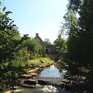 South American exhibit with Brazilian tapir, Capybara and Giant anteater on the bank of the Dender river, 2021-09-03