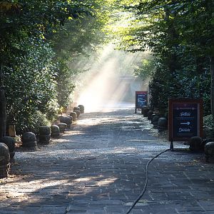 Road in The Middle Kingdom, 2021-09-03