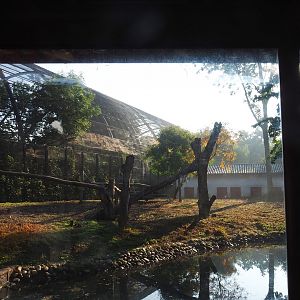 Part of the Asiatic black bear exhibit, with the Cathedral aviary in the background, 2021-09-03
