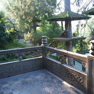 Viewing area for the hillside Nepalese red panda exhibit, 2021-09-03