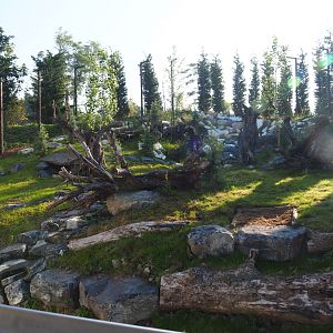 New main snow leopard exhibit, 2021-09-03