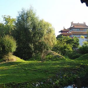 Part of the Indian hog deer and Demoiselle crane exhibit, with the large Chinese temple in the background, 2021-09-03