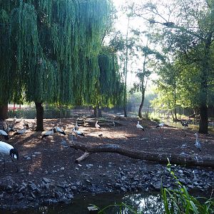 Père David's deer, European white stork, Red-crowned crane and Reeves's muntjac exhibit, 2021-09-03