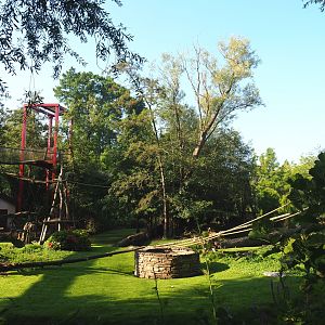 Central Chinese goral and Southern yellow-cheeked gibbon exhibit, 2021-09-03