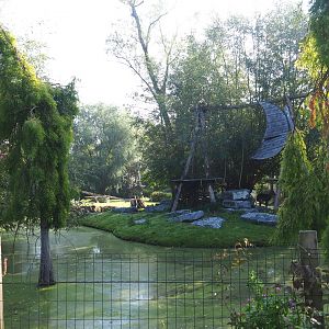 Central Chinese goral and Southern yellow-cheeked gibbon exhibit, 2021-09-03