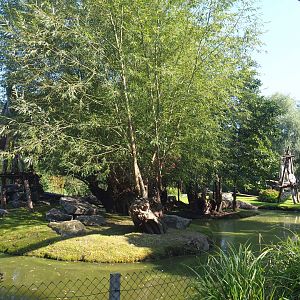 Central Chinese goral and Southern yellow-cheeked gibbon exhibit, 2021-09-03
