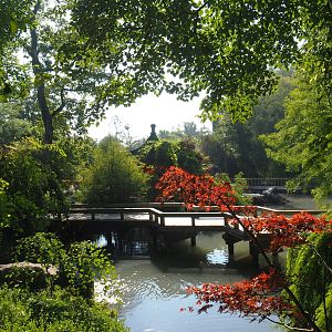 Part of the Chinese gardens, 2021-09-03