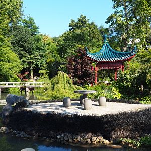Part of the Chinese gardens, 2021-09-03