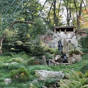 Bearded Vulture Aviary