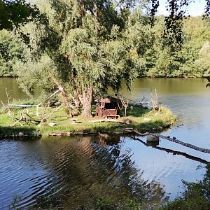 Ring-tailed Lemurs Island