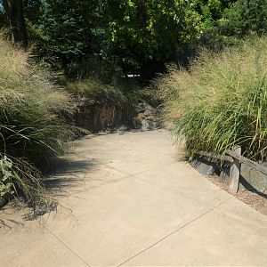 Schaefer Plaza - Path Near Prairie Dog Exhibit