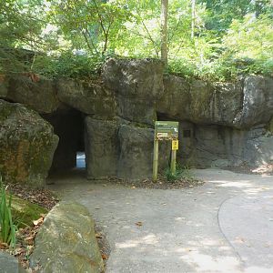 Maryland Wilderness - The Stream - View to Underwater Tunnel