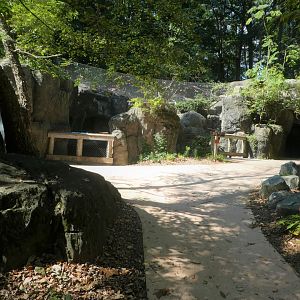 Maryland Wilderness - General View