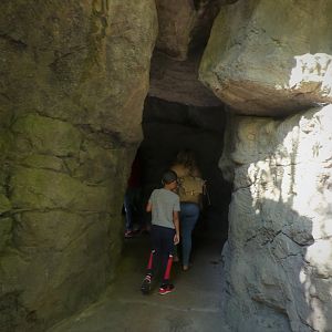 Maryland Wilderness - The Cave - Entrance
