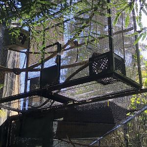 Outdoor portion of cotton-top tamarin exhibit