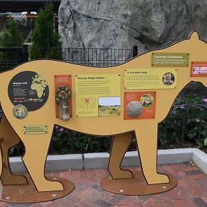 Pepper Family Wildlife Center - Lion Exhibit Signage