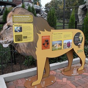 Pepper Family Wildlife Center - Lion Exhibit Signage