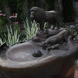 Pepper Family Wildlife Center - Lion Exhibit Water Fountain