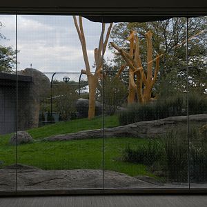 Pepper Family Wildlife Center - Lion Exhibit