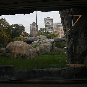Pepper Family Wildlife Center - Lion Exhibit