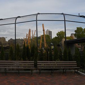 Pepper Family Wildlife Center - Lion Exhibit