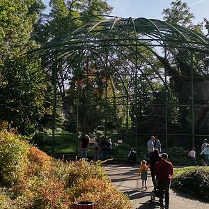 Bearded Vulture Aviary