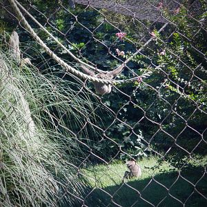Javan Gibbons at the Greensboro Science Center