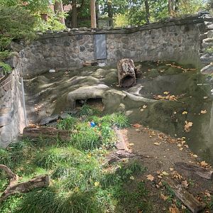 Oct. 2021- Bat-eared fox exhibit