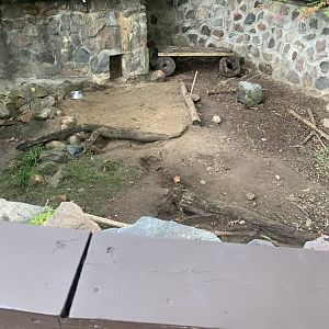 Oct. 2021- Part of Crested porcupine exhibit