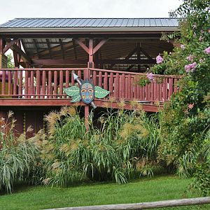 giraffe feeding platform