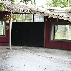 tiger and sloth bear viewing