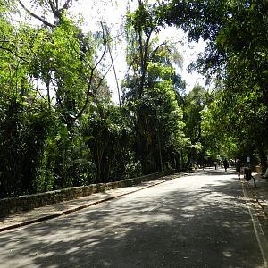 Entrance walkway - Campinas zoo (BDJ)