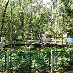 Pond and fountain - Campinas zoo (BDJ)
