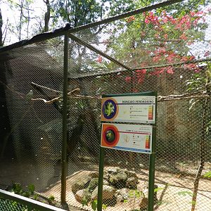 Amazon exhibit - Campinas zoo (BDJ)