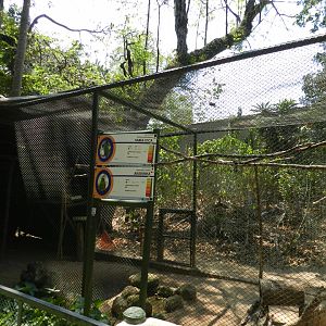 Parrot and macaw exhibit - Campinas zoo (BDJ)