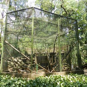 Capuchin monkey exhibit - Campinas zoo (BDJ)