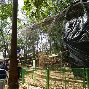 Large aviary - Campinas zoo (BDJ)