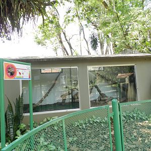 Boa constrictor exhibit - Campinas zoo (BDJ)