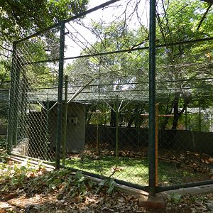 Caracara and seriema exhibit - Campinas zoo (BDJ)